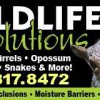Wildlife Solutions