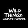 Wild Thingz Wildlife Removal
