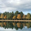 Wilkinson Tree Farm