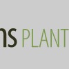 Williams Plant Nursery