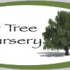 Willow Tree Nursery