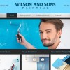 Wilson & Sons Painting