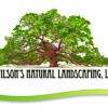 Wilson's Natural Landscaping