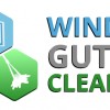 Windows Gutters Cleaning