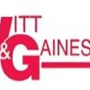 Witt & Gaines