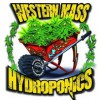 Western Mass Hydroponics