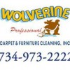 Wolverine Carpet Cleaning