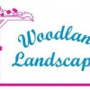 Woodland Landscapes