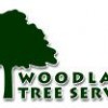 Woodland Tree Service