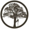 Woodworks Tree Service