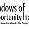 Windows Of Opportunity