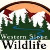 Western Slope Wildlife
