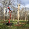 Xanderbuilt Tree Care & Landscaping