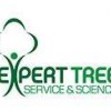 Expert Tree Service & Science