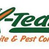 X Team Termite & Team Pest Control
