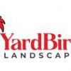 Yard Birds