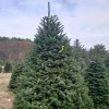 Yenser Tree Farm