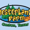 Yesterland Farm