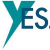 York Electronic Systems