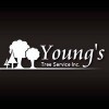 Young's Tree Service