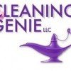 Cleaning Genie
