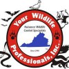 Blue Ridge Wildlife Management