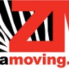 Zebra Moving