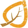 Aspen Arboriculture Solutions