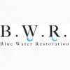 Blue Water Restoration