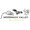 Merrimack Valley Wildlife