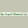 Top Carpet Cleaners