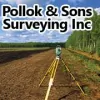 Pollok & Sons Surveying