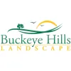 Buckeye Hills Landscape