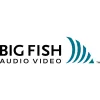 Big Fish Automation