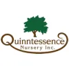 Quinntessencenursery