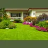 Andy's Landscape & Tree Service