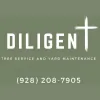 Diligent Tree Service