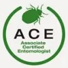The Bug Doctor