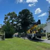 Howell Tree Removal