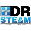 Dr Steam