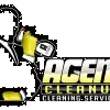 Agent Cleanup