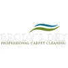 Brody's Dry Professional Carpet Cleaning
