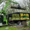 B & B Tree Service