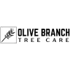 Olive Branch Tree Care