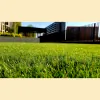 Express Lawn Care