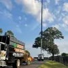 Mike's Tree Service