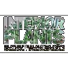 Interior Plants