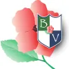 Blooming Vista