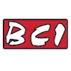 BCI Painting