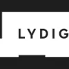 Lydig Construction